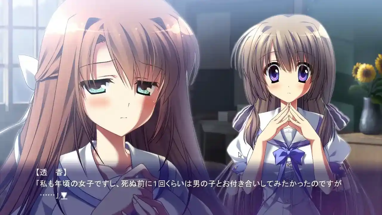 【全平台制霸】《夏空のペルセウス/夏空的英仙座》终极跨端指南:PC+ONS+安卓三端实测图片-2 【全平台制霸】《夏空のペルセウス/夏空的英仙座》终极跨端指南:PC+ONS+安卓三端实测图片-2