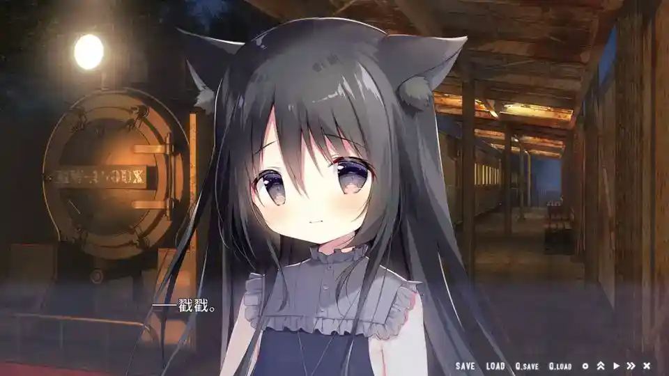 星空列车与白的旅行图片-5 星空列车与白的旅行图片-5
